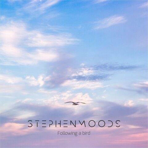 Following a Bird cover